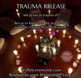 Spirituele agenda - Trauma Release Individuele Truffelceremonie