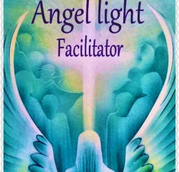 Angel Light facilitator