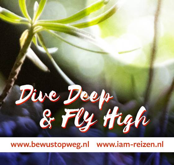 Spirituele agenda - Dive deep & Fly high weekend